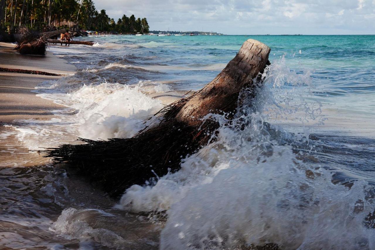 Casa Mare Mansa Na Praia De Peroba, Maragogi Buitenkant foto